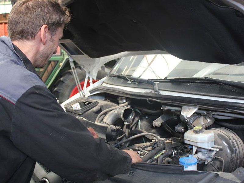 Diensten Bestelwagens, Garage Ribbens Wuustwezel